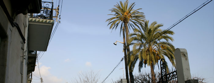 Finques Sauleda de Sant Pol